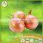 wholesale Fresh Onion/Yellow Onion/red onion exporters in china