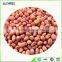 best peanuts with top grade from China