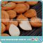 Raw bulk sweet apricot seeds type in apricot kernel, apricot seeds using for nuts, cake, chocolate food companies