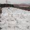 urea nitrate fertilizer prices