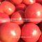 Hybrid Disease Resistant High Yield Pink Red Tomato Seeds