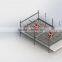 High Quality Broiler Battery Cages for Poultry Farm