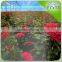 Industrial rose garden irrigation & watering system