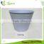 Chinese Wholesale Cup Shape 4 Inch Office Decoration Cheap Gardener's Eden Flower Pots