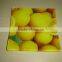 Fruit printing square plate flower printing square plate custom printing glass plate