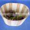 Unfinished wooden pail pail pack washing pail wooden pail with New design