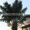 cheap artificial palm tree artificial coconut palm outdoor coconut with fruit