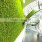 1 sqm decorative home decor artificial moss landscaping factory green wall HMR08