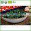 HIGH QUALITY OOLONG TEA COMPETITIVE PRICE FROM CHINA
