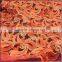 Orange Shining Poly Metallic Embroidery Fabric, China Tulle Lace Fabric Embroidery Lace