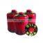 gas cartridge for camping and butane gas cartridge bbq