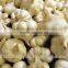 The Best Vegetable Product from China Fresh Garlic