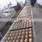 Hot selling foodstuff machine fully-machine layer cake swiss roll production line