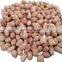 Peanuts wholesale peanuts with best price/High quality new 2021 dried shelled peanuts for food from Vietnam