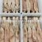 Good quality IQF frozen squid for fishing bait