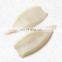 frozen cleaned illex  squid tube U3 U5 U10