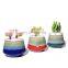 Wholesale Home Decorative Succulent Cactus Pots Small Flower Pot Ceramic Planter For Indoor Plants