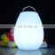 Multicolor led mood light glowing wireless charger rechargeable cordless restaurant led table night light lamp