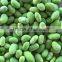 frozen green edamame kernel
