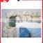 Wholesale Made in China Beautiful Shell Shape Funny Glass Picture Frame