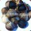 10 years professional manufacturer black garlic machinery price                        
                                                                                Supplier's Choice