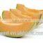 cantaloupe No.1 Chinese round shape melon seeds for sale