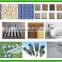 silicone adhesive sealant/green color silicone sealant/silicone sealant color blue