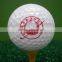 One Piece Ball Conformation hollow practice golf ball