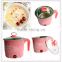 MINI Stainless Steel Electric Food Steamer Pot