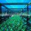 sun shade net/shade cloth for agriculture greenhouses                        
                                                Quality Choice