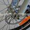 Cheap Electric Bike 250W Brushless 36v 10ah Lithium Battery 20'' Tyre Folding e Road Bike