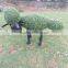 Lovely look artificial topiary animal boxwood animal with best price for landscape decor