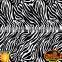 Hot Sale Dazzle Graphic No.DGDAS483 Width 50cm Zebra Printable Hydrographic Film Hydrographic Pattern Hydrographics Film