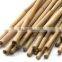 Bamboo poles for garden plant from Vietnam