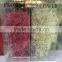 Import Natural Flowers Bulk Dried Flowers Pretty Gypsophila From Yunnan China