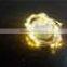 Hot CR2032 Button Battery Operated Copper Wire LED String Lights