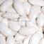 We are supply Large white kidney beans with best price for sale