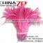 ZPDECOR Best Selling Chicken Plume Dress Wholesale Candy Pink Dyed Rooster Schlappen Feathers Strung for Sale