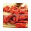 Free Samples Top Quality Tibet Dried Goji Berry Wholesale Price
