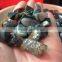 Hot sale healing gravel crystal for fish tank ornament