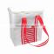 Promotion Non Woven insulated cooler bags