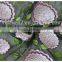 Allover Dress Fashion Colors Embroidery Cheap Lace Fabric Multi-colors