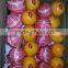 Grade A Egyptian Navel Orange