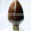 High Quality Pure Reishi Mushroom Extract Powder