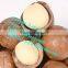 macadamia nut opening machine/macadamia nut tapping machine