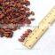 sell cheap natural style melon seeds with different size
