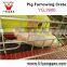 pig equipment Hot-dip Galvanized Pig Farrowing Crate Pig Farrowing Crate For Pigs