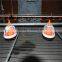 Automatic chicken poultry feeder