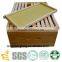 Polystyrene Complete Langstroth Hive (Empty - no frames)