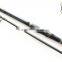 3.60m 2 section carp rod